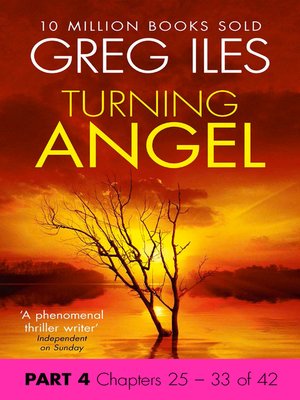 cover image of Turning Angel, Part 4, Chapters 25 - 33